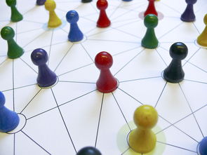 华体会体育登录-中国篮球青训教练员能力提升路径，篮球青训师的待遇怎么样