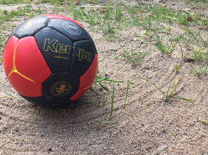 华体会hth登录-英超球队基于运动表现数据调整赛中体能分配策略，英超球队规则